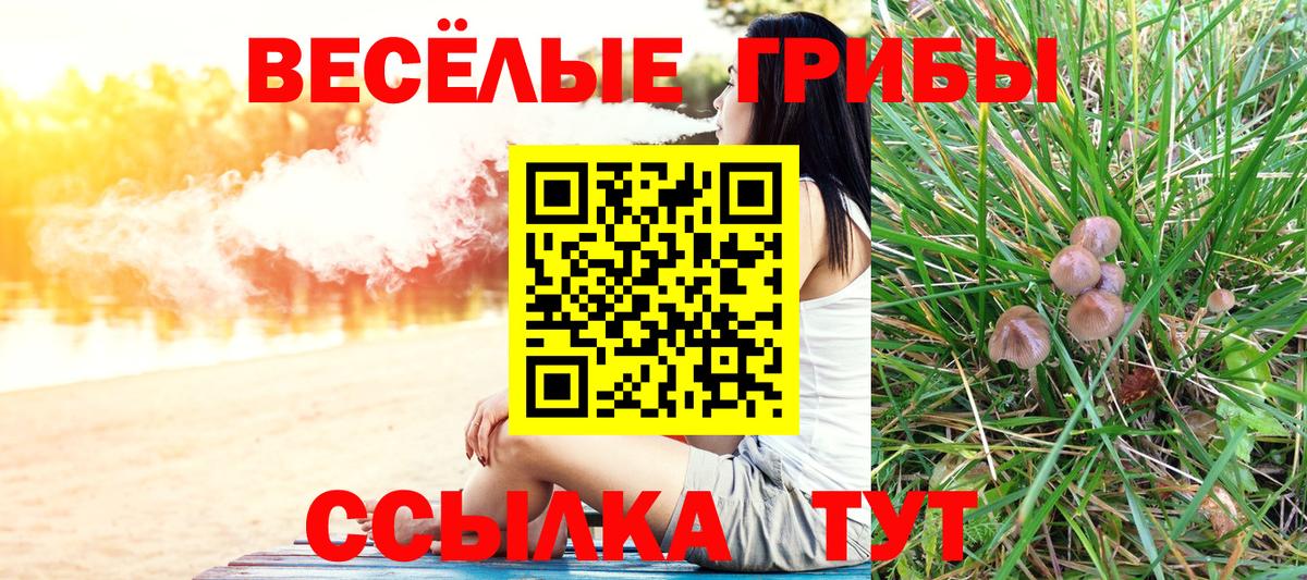 Псилоцибиновые грибы прущие грибы Салехард